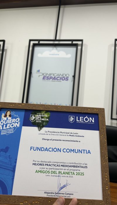 Consolidación a futuro